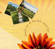 zomer thumb