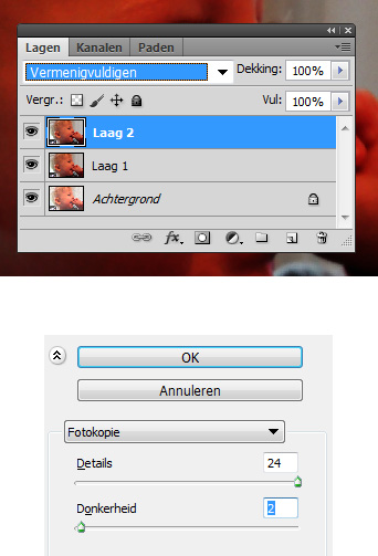 portretfoto 8