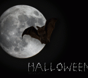 vleermuis-halloween