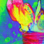 Artistieke tulpen